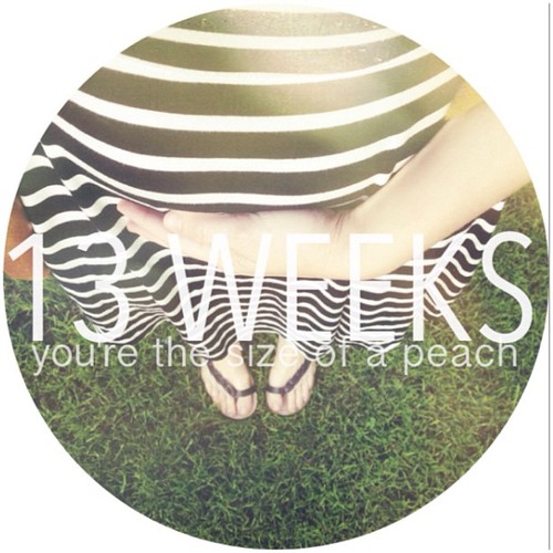 tumblr_mjk146gJOu1qc4s2yo1_500