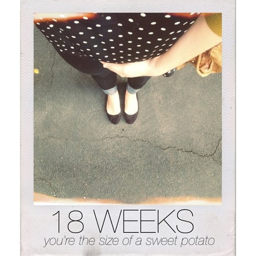 tumblr_mlcsoxALyf1qc4s2yo1_500