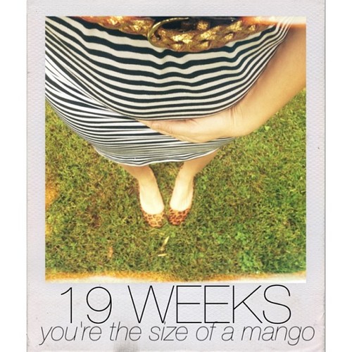 tumblr_mlprfcKxP91qc4s2yo1_500